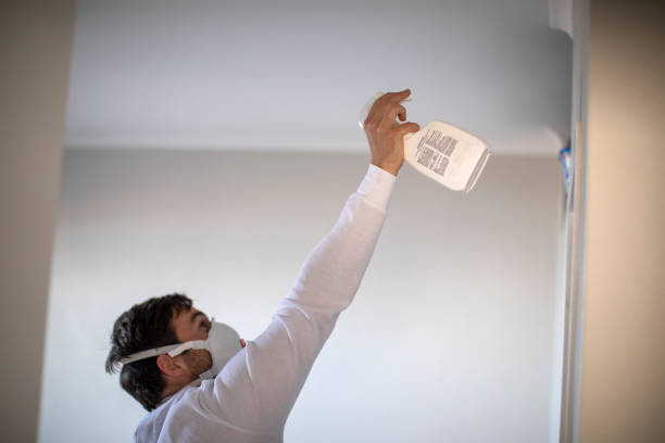 Best Best Mold Removal Companies  in Mcgraw, NY