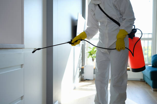 Best Professional Mold Removal  in Mcgraw, NY